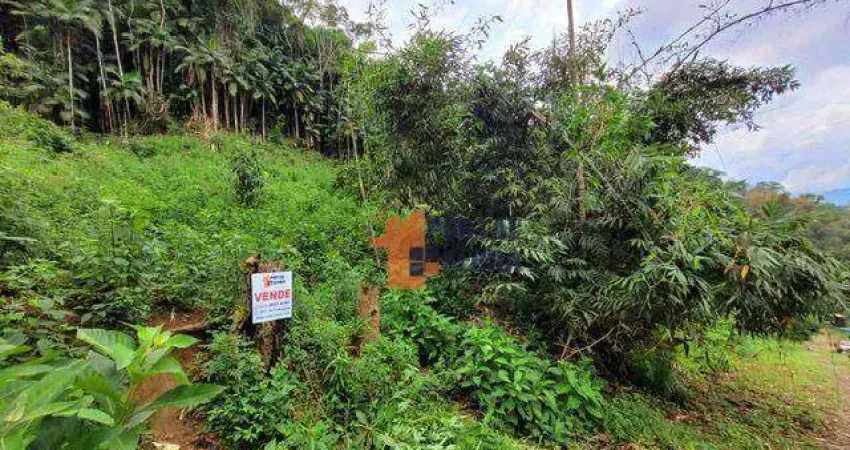 Terreno à venda, 1320 m² por R$ 100.000,00 - Albuquerque - Teresópolis/RJ