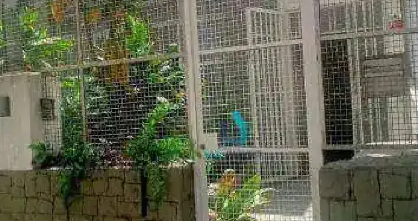 Casa, 230 m² - venda por r$ 2.700.000,00 ou aluguel por r$ 7.851,00/mês - vila mariana - são paulo/sp