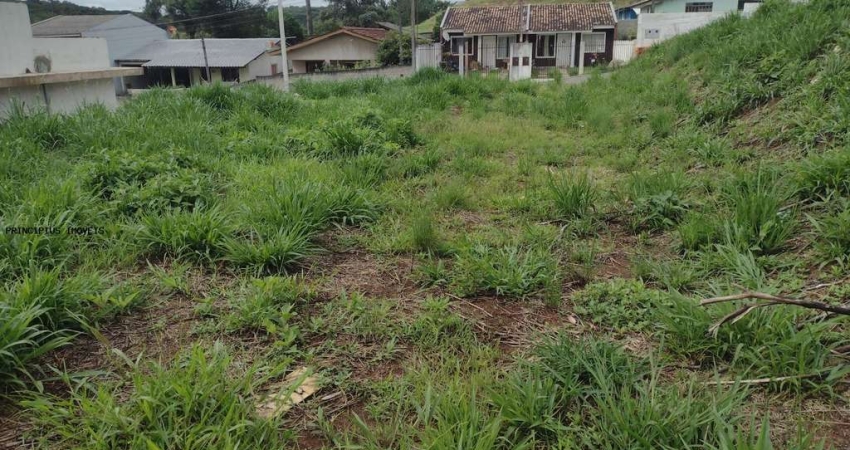 Terreno para Venda em Campina Grande do Sul, NOVO DAHER