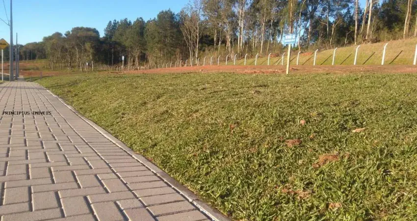 Terreno à venda na Rodovia do Caqui, Jardim Daher, Campina Grande do Sul