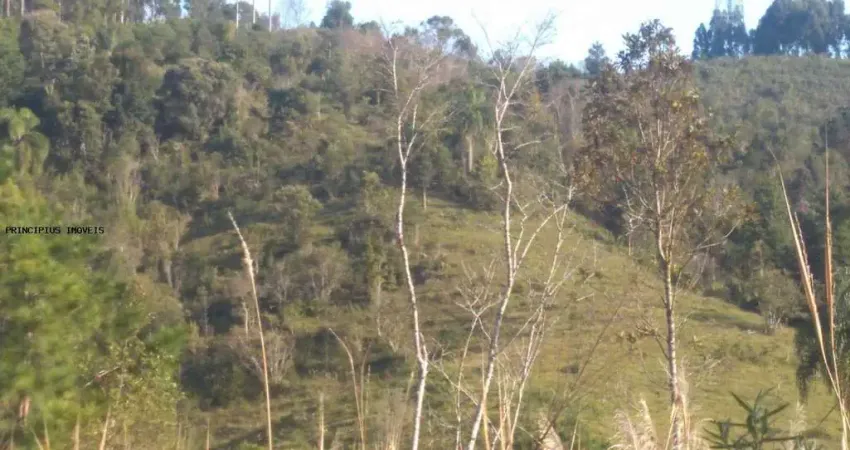 Chácara / sítio à venda na BR 116 KM 51, 51, Paiol De Baixo, Campina Grande do Sul