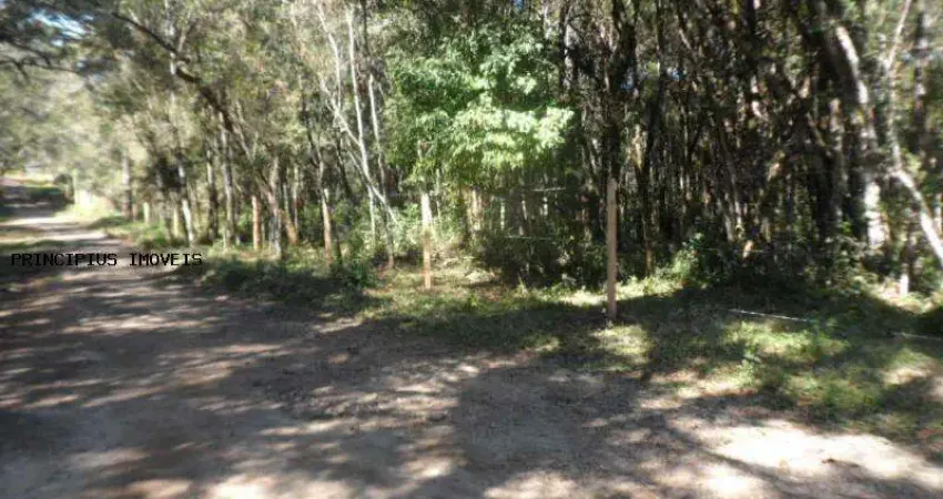 Chácara para Venda em Campina Grande do Sul, TIMBU VELHO