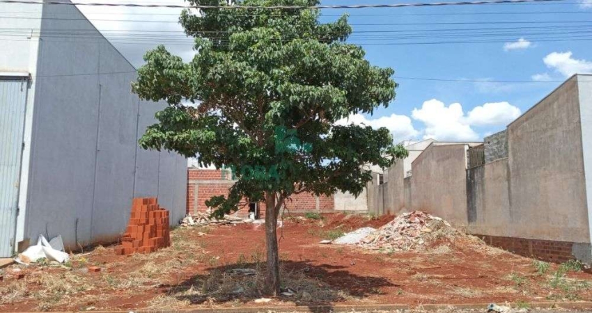 Ótimo Terreno em Marialva com Localização Privilegiada!