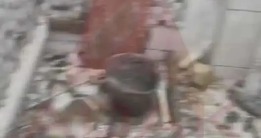 Apartamento à venda na Rua México, Centro, Rio de Janeiro