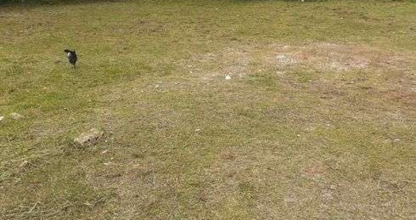 Terreno para venda possui 625 metros no Jardim das Acácias