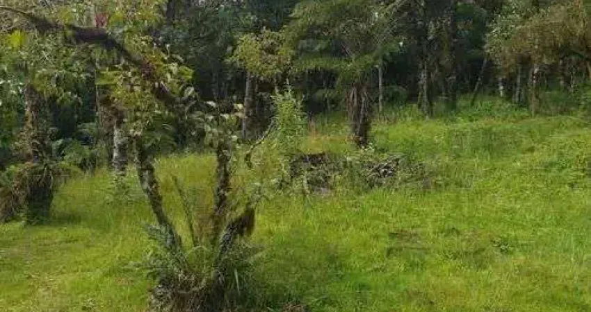 Terreno à venda na Zona Rural, Campina Grande do Sul 