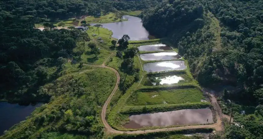 Chácara / sítio com 2 quartos à venda no Centro, Bocaiúva do Sul 