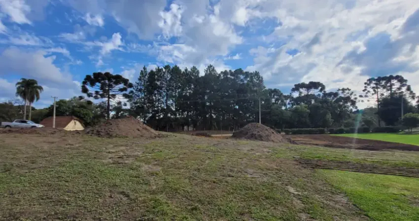 Chácara / sítio à venda na Rua Coronel Monteiro, Zona Rural, Campina Grande do Sul