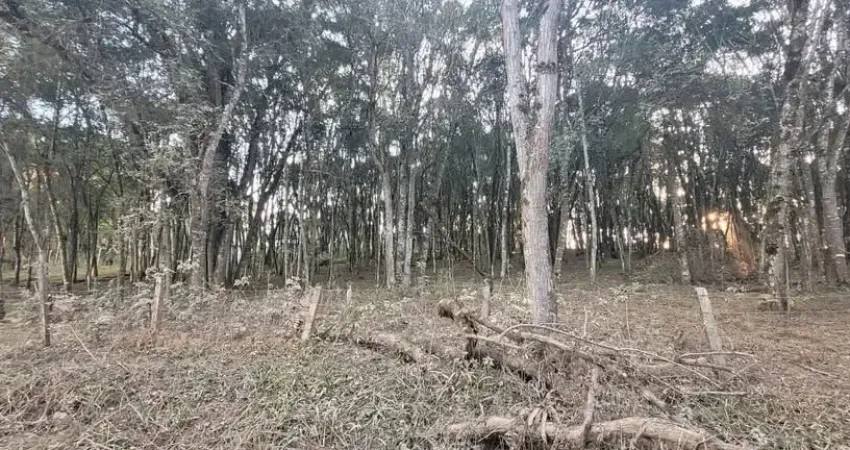 Terreno à venda na Zona Rural, Campina Grande do Sul 