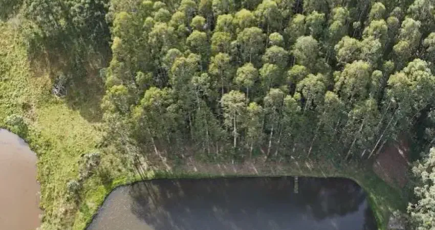 Terreno comercial à venda na Rua Osmário de Oliveira Bastos, 5, Vila Fuck, Piraquara