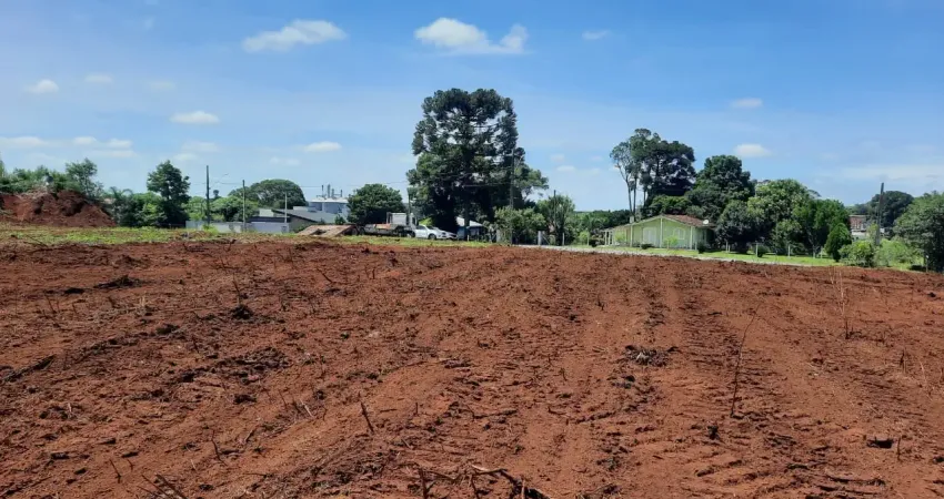 Terreno à venda na Rua João Silvestre, 1, Centro, São Mateus do Sul