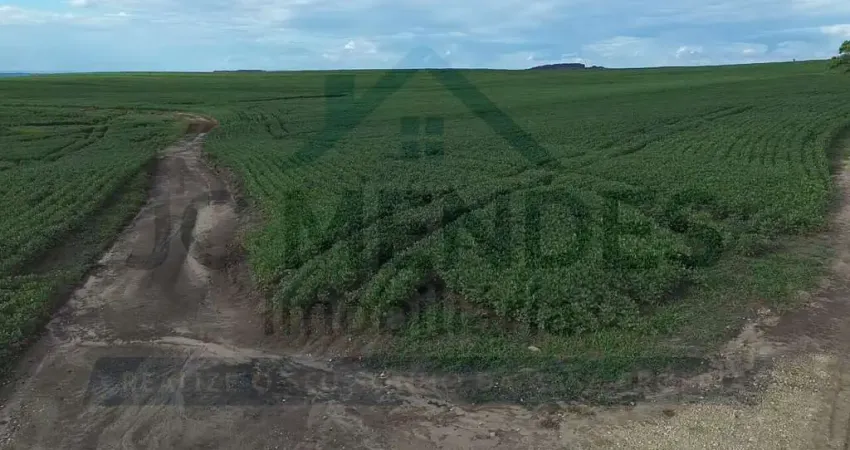 Fazenda à venda no Centro, Ipiranga
