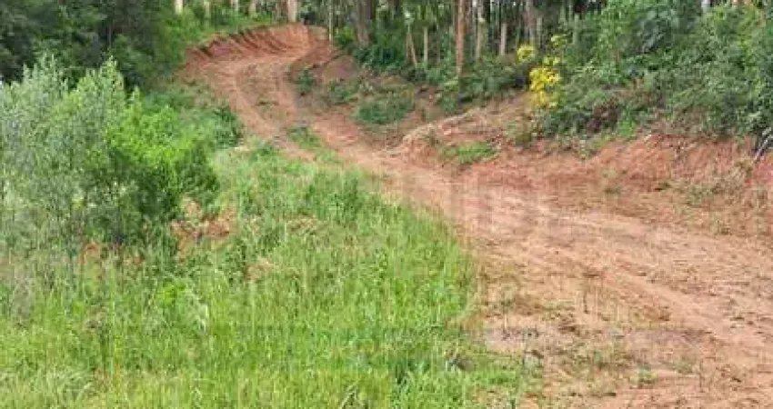 Chácara / sítio à venda no Centro, Araucária