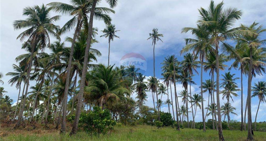 Terreno comercial à venda na Ilha do João Ferreira, S/N, Centro, Tamandaré