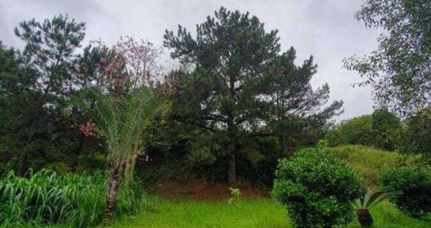 Terreno próximo a uni avan e br 101 a venda para | Estados, Balneário Camboriú, Santa Catarina
