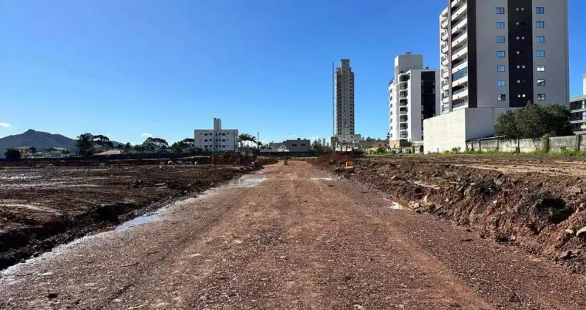 Terreno à venda na Avenida Santo Amaro, São Francisco de Assis, Camboriú