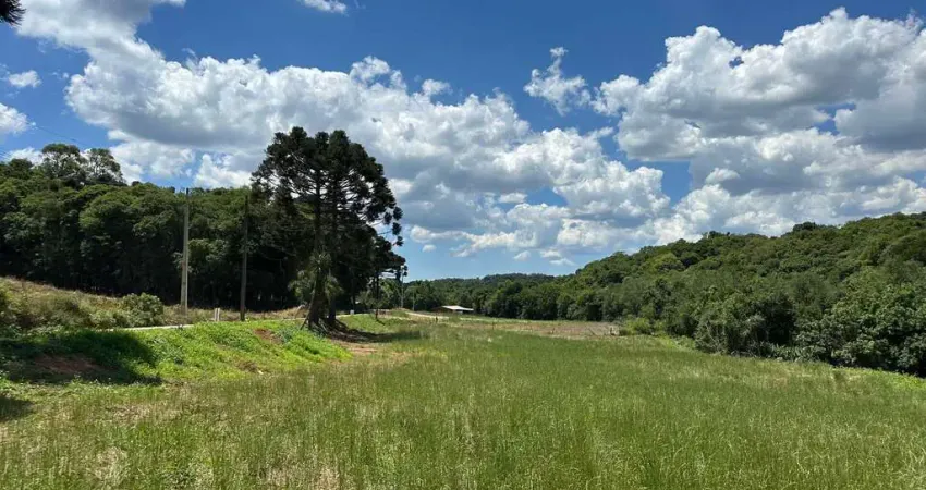 Chácara / sítio à venda na Rua Romão  Fierzt, Zona Rural, Araucária