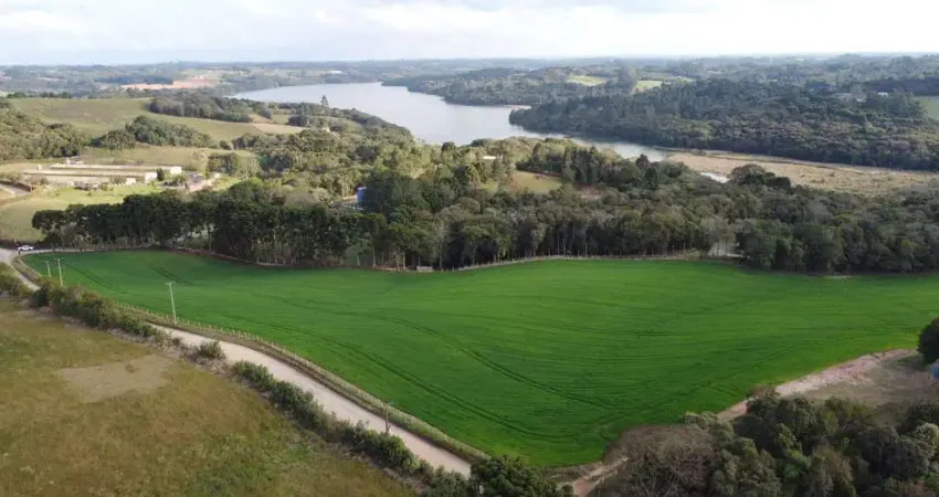 Chácara / sítio à venda na Estrada Colônia Mariana, Jardim Padre José de Anchieta, Campo Largo