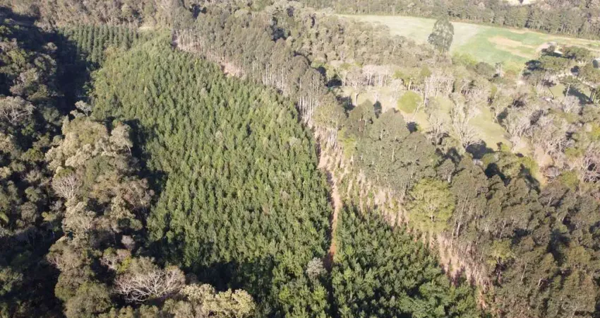 Chácara à venda, com área de 21.535,00m² por r$ 550.000,00 - guabiroba - campo largo-pr