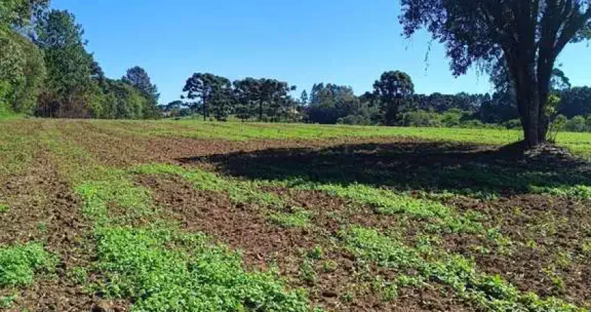 Terreno à venda na Estrada para Balsa Nova, Jardim Itaqui, Campo Largo