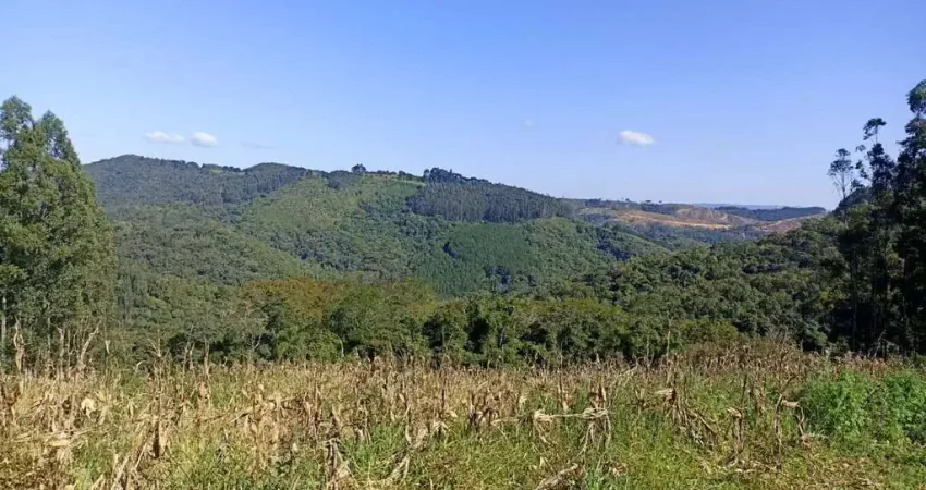 Linda área para formar chácara, com área de 52.500,00m² - jardim boa vista - campo largo/pr