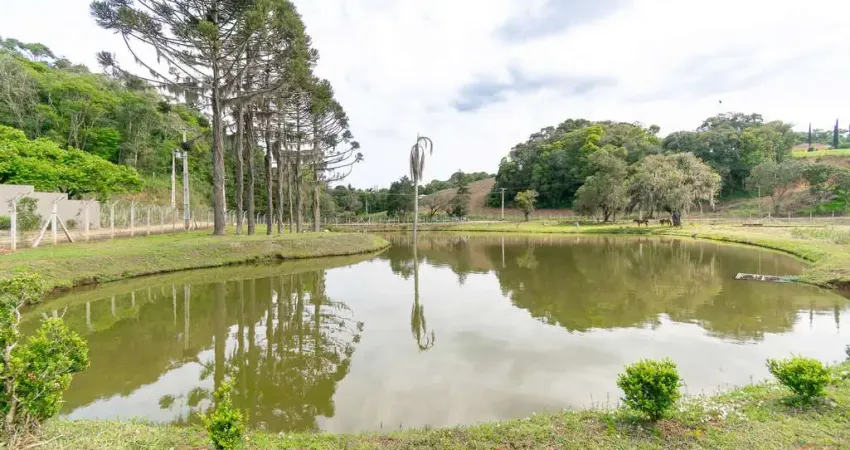 Chácara / sítio à venda na Rua Romão Fierzt, Roça velha, Araucária