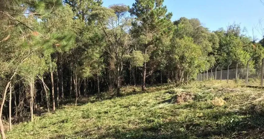 Chácara / sítio à venda na Estrada Sereia, Rondinha, Campo Largo