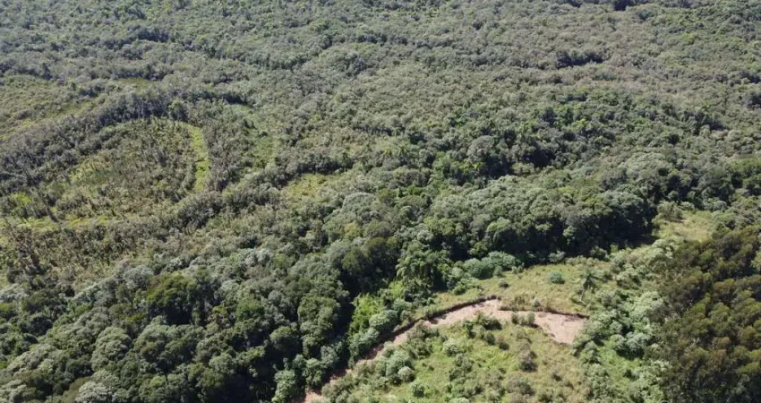 Chácara à venda com área de 23.373,00m² - rodeio santo antonio - balsa nova-pr