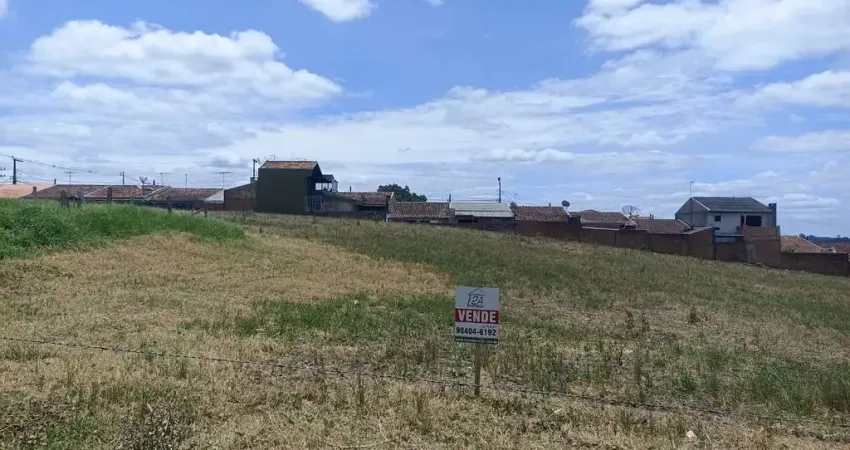 Terreno à venda na Rua Policarpo Ferreira de Miranda, 117, Loteamento Miranda, Campo Largo