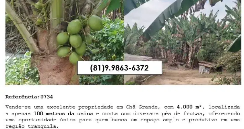Chácara / sítio à venda na Vila Santa Luzia, Zona Rural, Chã Grande