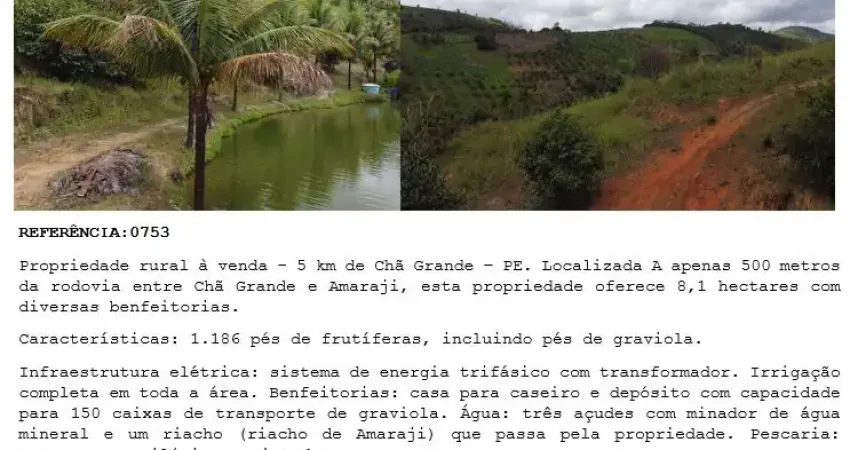 Chácara / sítio à venda na Vila Santa Luzia, Zona Rural, Chã Grande