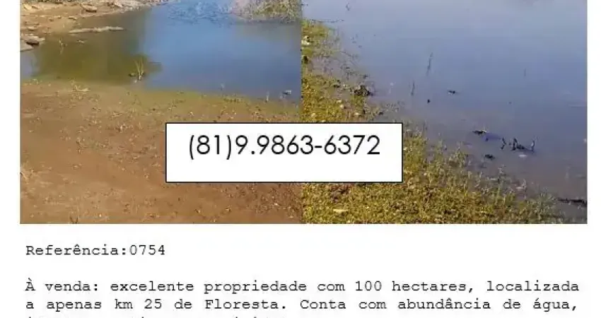 À venda: excelente propriedade com 100 hectares, localizada a apenas km 25 de Floresta.