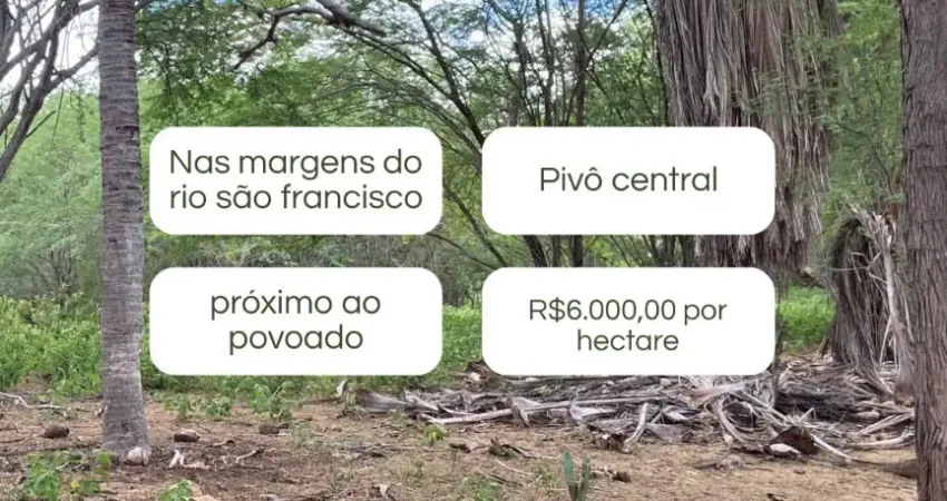 Fazenda à venda na Avenida Eletrobras, Zona Rural, Jatobá