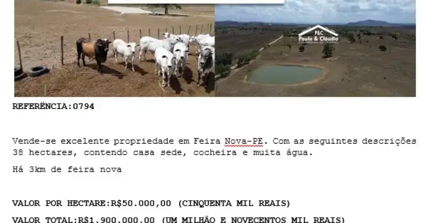 Fazenda à venda na Avenida Silva Jardim, 4, Zona Rural, Feira Nova