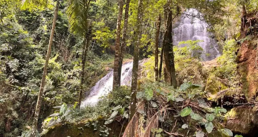 Chácara / sítio com 4 quartos à venda na Zona Rural, Andradas