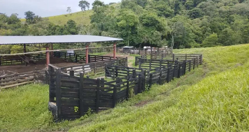 Fazenda à venda no Rio Pardo, Caldas 