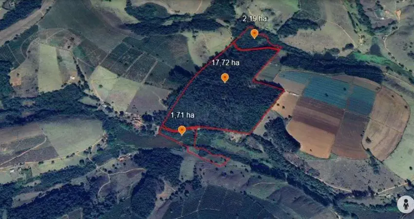 Chácara / sítio à venda na Zona Rural, Campestre 