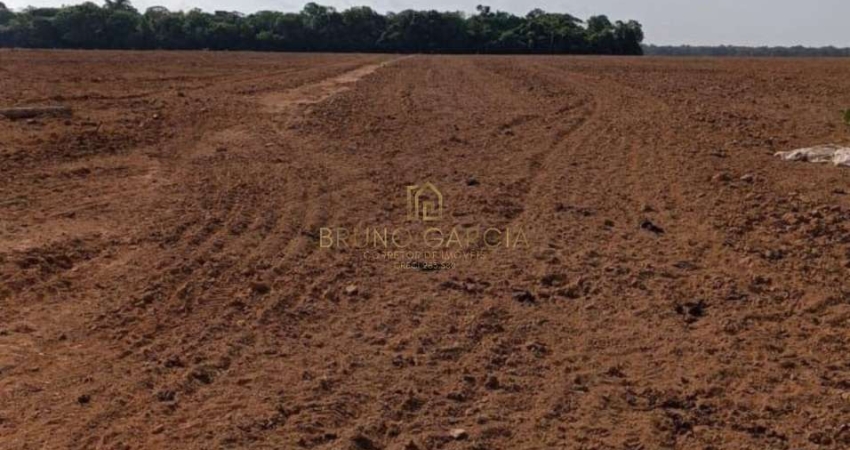 Fazenda à venda na São Félix, 00, Zona Rural, São Félix do Araguaia