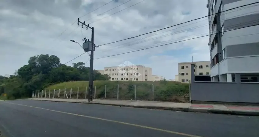 Terreno à venda na Rua Hamilton Ferreira, 430, Areias, São José