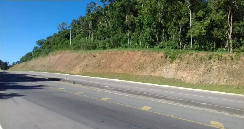 Terreno comercial à venda na Rodovia BR-116, km 133,5, Estados, Fazenda Rio Grande