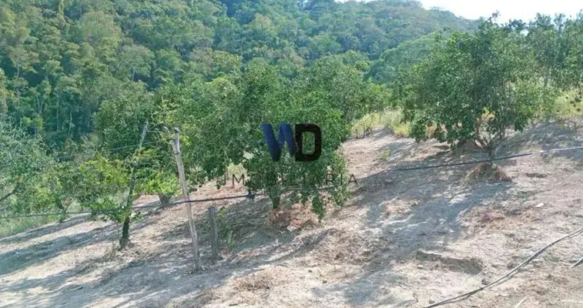 Terreno à venda na Estrada Doutor Fidélis Alves, Centro (Pachecos), Itaboraí