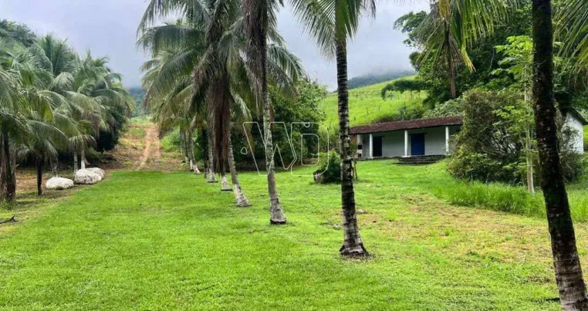 Terreno à venda na Rodovia RJ-116, Alto do Jacú (Sambaetiba), Itaboraí