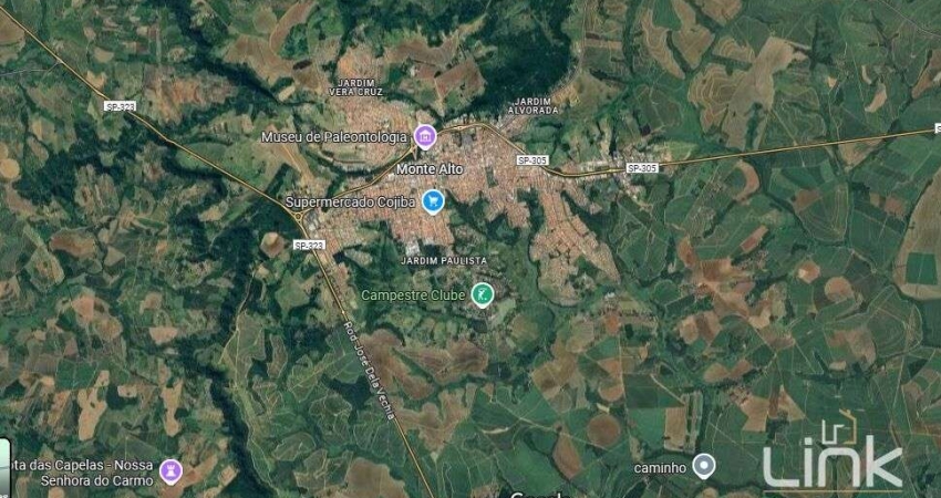 Fazenda à venda na Zona Rural, Monte Alto 