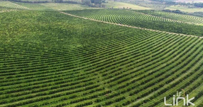 Fazenda à venda na Área Rural de Marília, Marília 