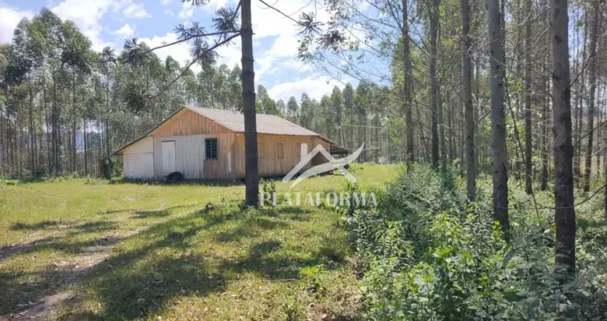 Chácara / sítio com 2 quartos à venda no Centro, Santa Terezinha 