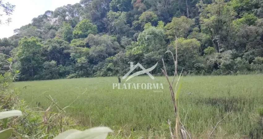 Chácara / sítio à venda no Centro, Santa Terezinha 