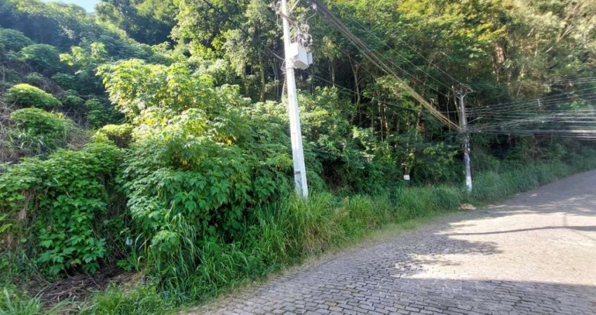 Terreno à venda na Rua Etelvino Dias da Rosa, Pimenteiras, Teresópolis