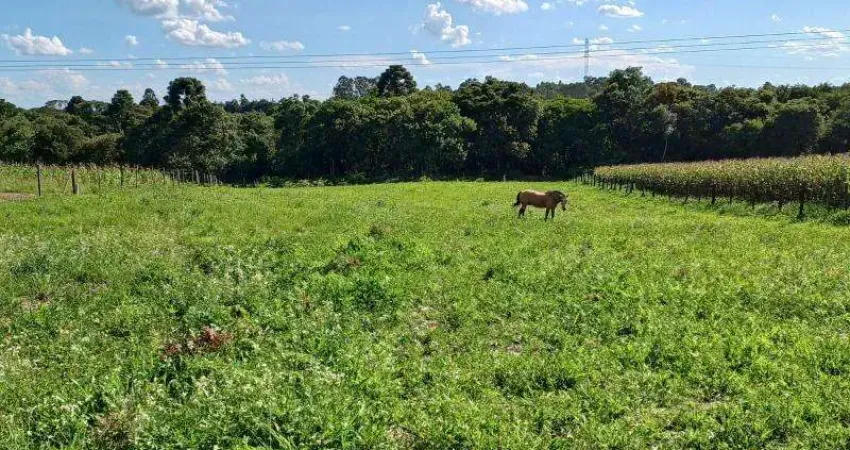 EXCENTE CHACARA COM 7.800 M2 SEM BENFEITURIAS  C.LARGO DA ROSEIRA 550.000,00