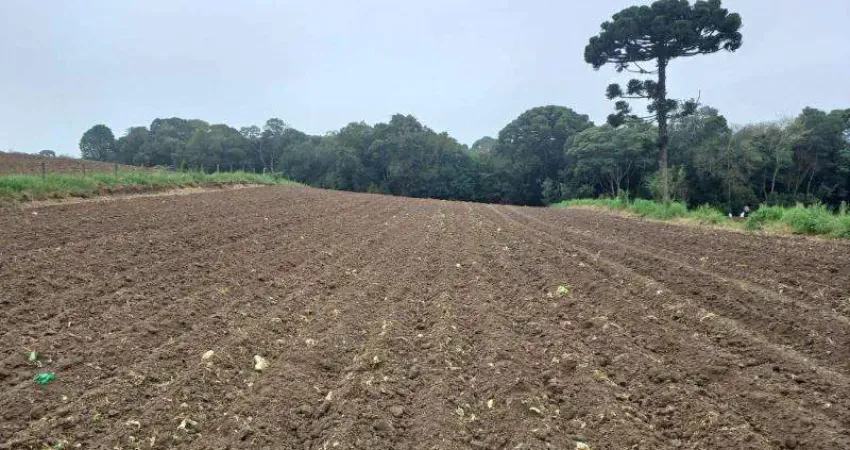 EXCELENTE CHACARA SEM BENFEITURIA COM 5.000 M2 MALHADA 350.000