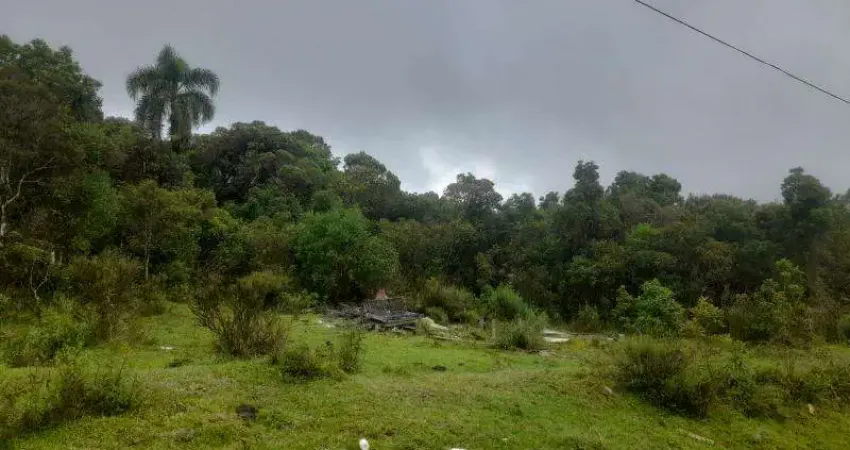 Excelente chacara com 08 alqueires guaricana 295.000 area rural de saõ josé dos pinhais